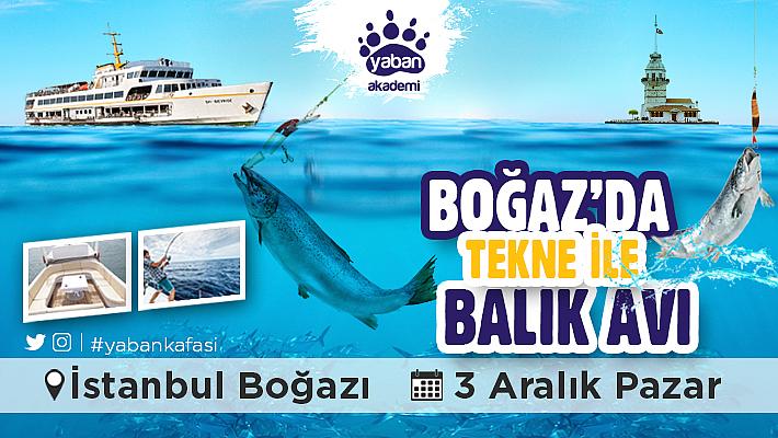 Boğaz'da Tekne ile Balık Avı-3 Aralık 2017, Pazar