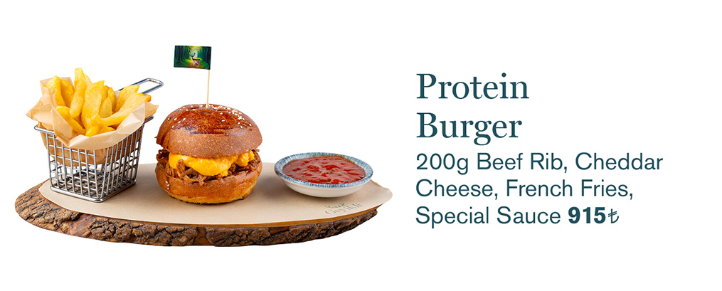 Protein Burger